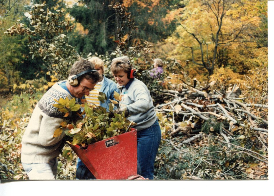 Work Group 1986 wood chipping -3